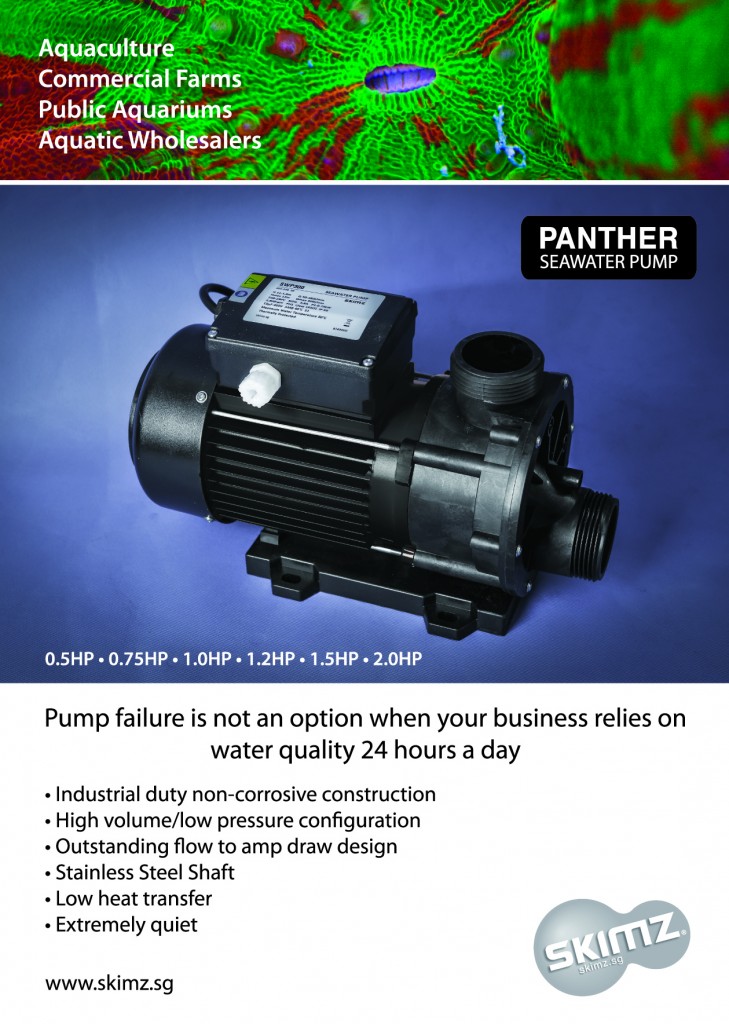 skimz panther seawater pump